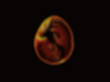 新規.gif